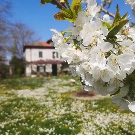 Апартаменты Cascina Risotto Montaldo Bormida